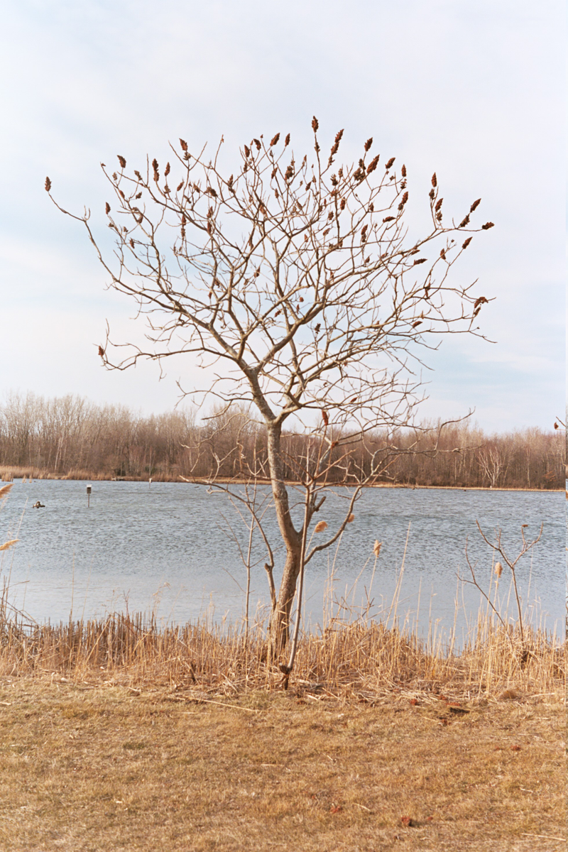 Illustration for article titled ektar
